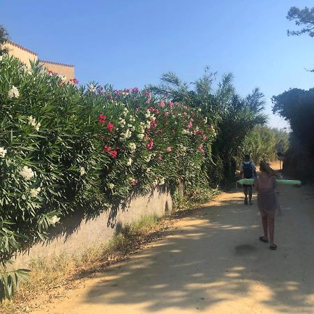 La Corse Tranquille 300M De La Plage Et Piscine Linguizzetta Dış mekan fotoğraf